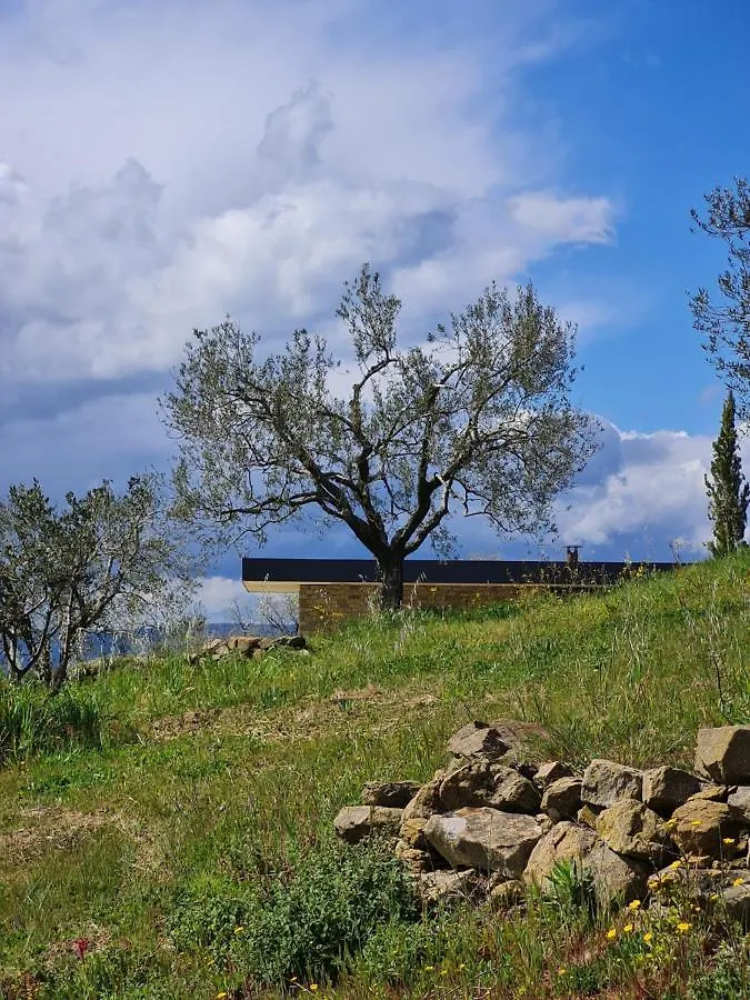 Poggio Cagnano Bed & Breakfast Manciano 0*,