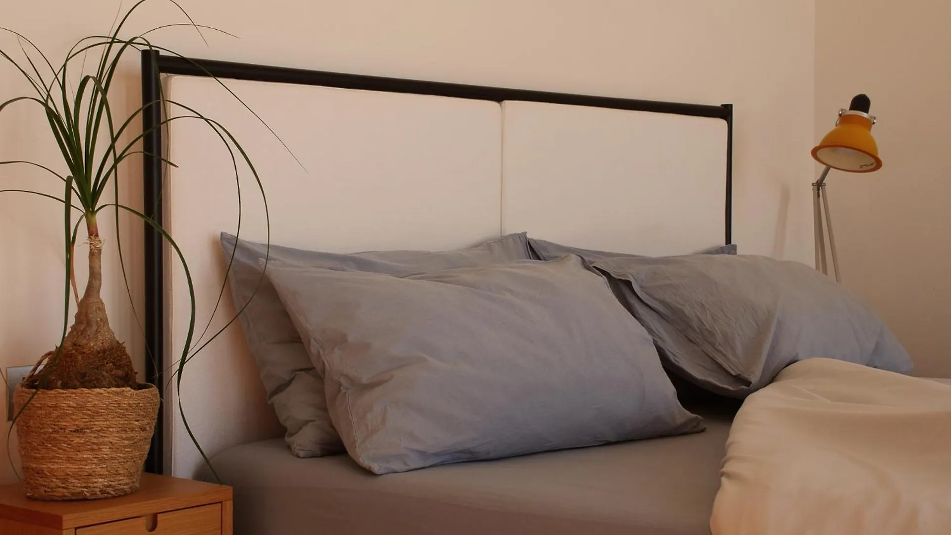 Poggio Cagnano Bed & Breakfast Manciano